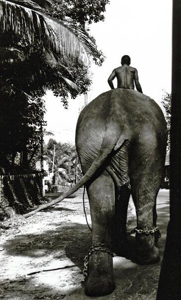 Kerala, India © Etienne Pierart